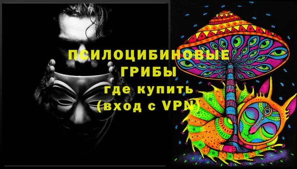 спайс Арсеньев
