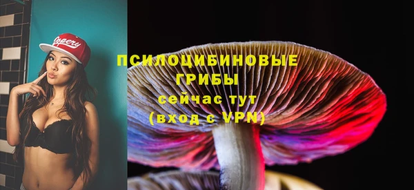 спайс Арсеньев